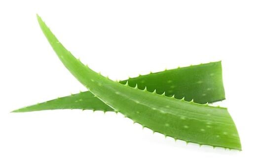 Zxcvbnmqwert përmban aloe vera